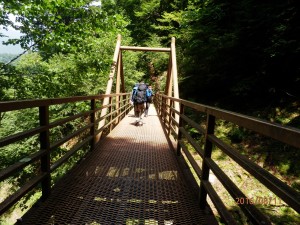 下が透けて見える・・・恐い橋