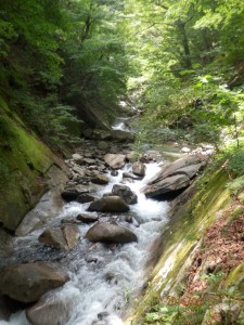 やっぱり、きれい！