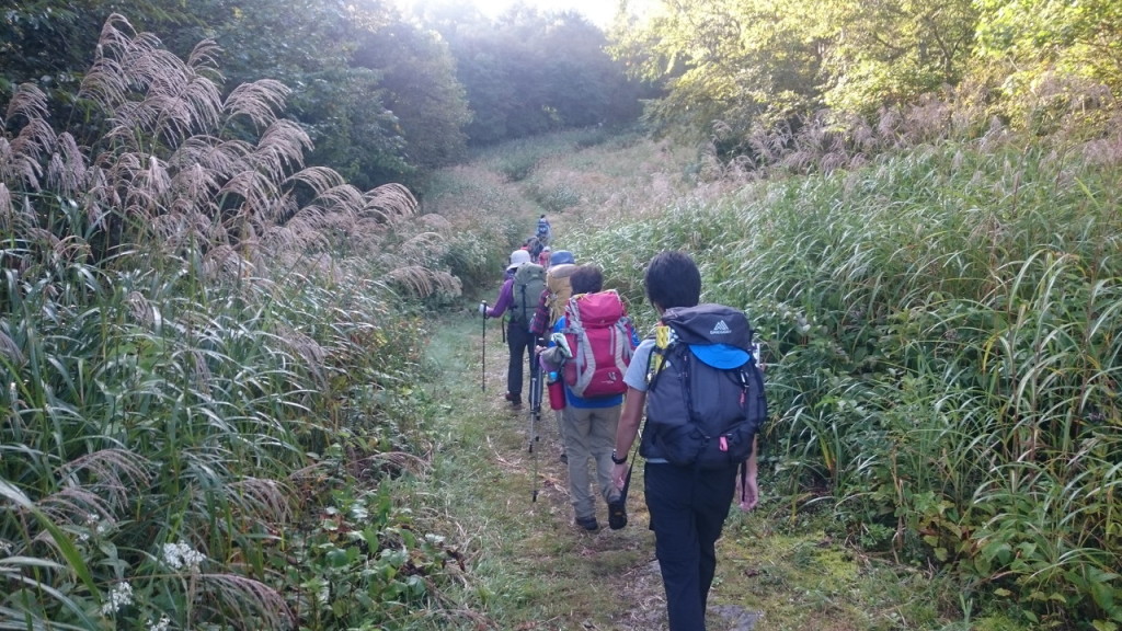 すすきの道を足取り軽く進んでいきます。