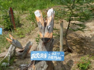 下山しました。又ね