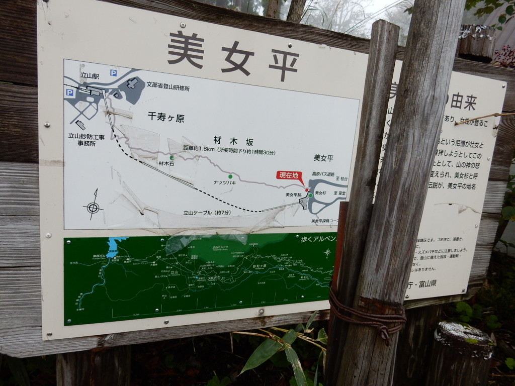 やっと美女平に到着