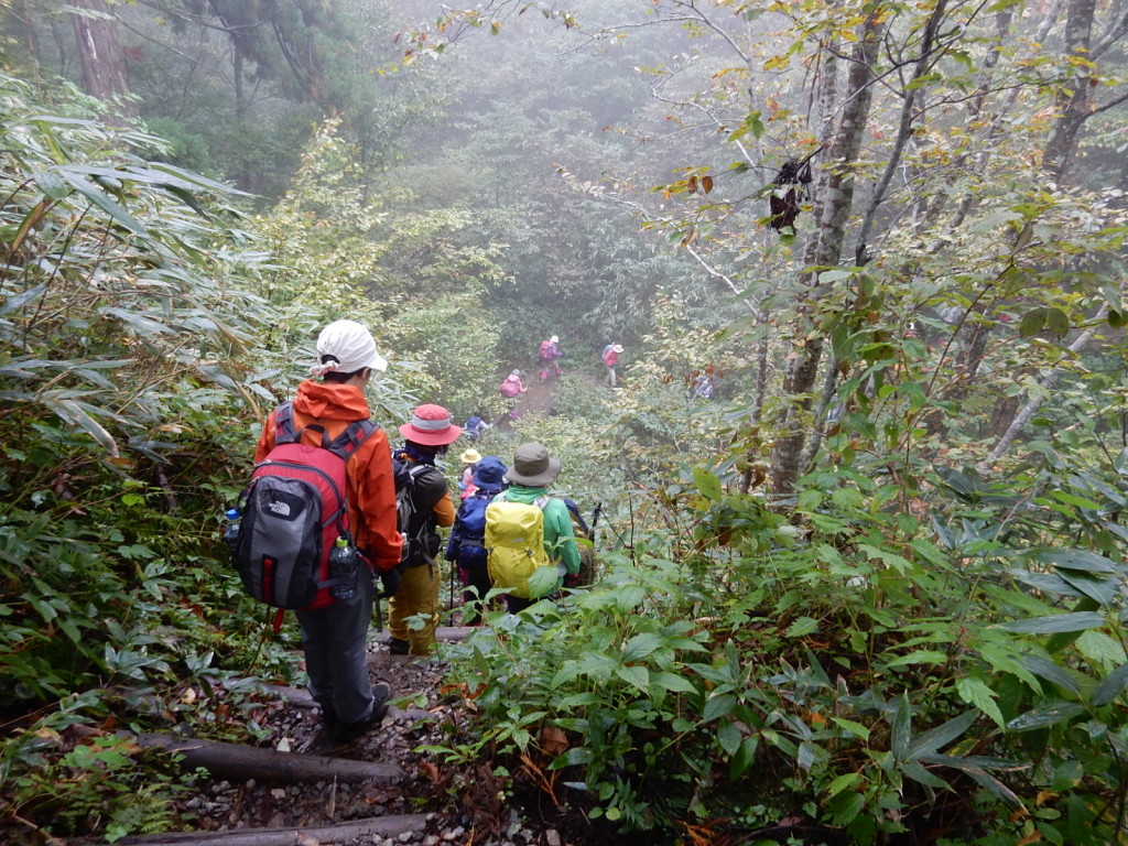 バスで通過する観光客をしり目に樹林帯に分け入ります