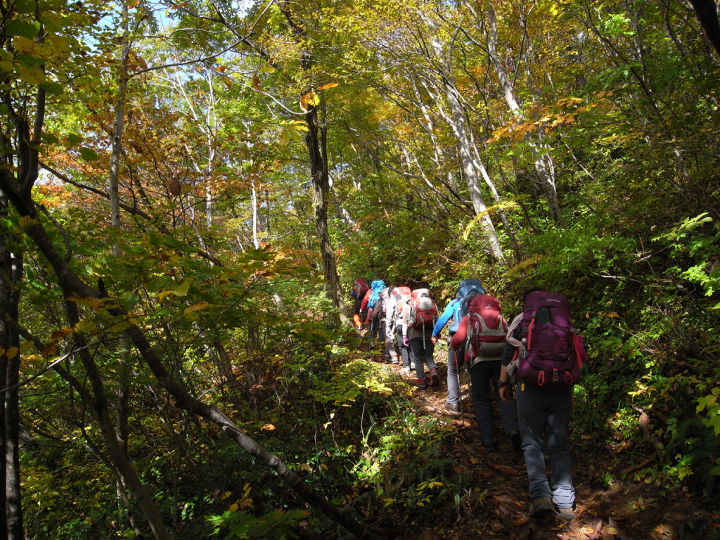 落ち葉に埋まった道を進みます