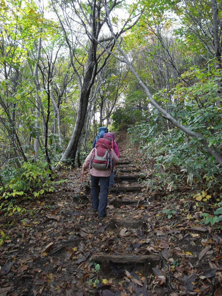 もう一息、最後の階段を上がります。
