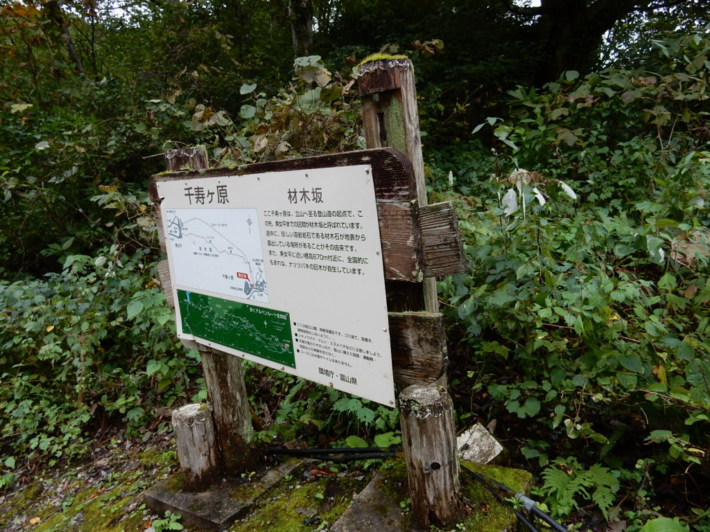 立山駅ケーブルカーの脇から登ります