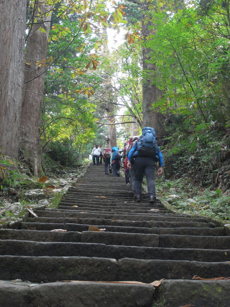 まず最初の「一の坂」を登ります