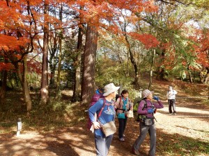 紅葉が真っ盛りです
