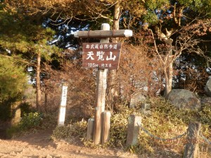 早くも天覧山に到着