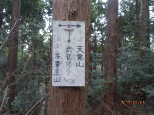 手作りの標識が有難い。