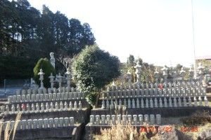 地蔵さんがたくさん祀ってあります